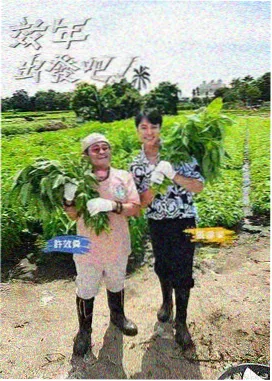 新西游记8